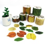 DIY 창의만들기 - 기타 - 레드포인트