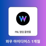 기타 - 기타 - 레드포인트