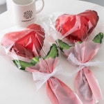 DIY 창의만들기 - 기타 - 레드포인트