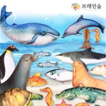 [브레인숲] 해양생물 헝겊인형 20종 - 레드포인트