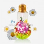 하바리움 플라워 무드등 만들기 (5명1세트) 78174 - 레드포인트