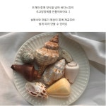 조개바다석고방향제 만들기키트 (2개완성) | 레드포인트