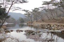 자연휴양림관리소 1월 추천휴양림, ‘백제의 미소’ 용현자연휴양림