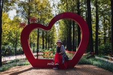 상암동 메타쉐콰이어 숲이 확 달라졌다.