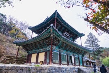 공주 마곡사의 단풍