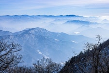 겨울 눈, 가리왕산에서 마주하다.