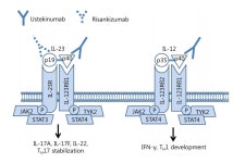 A New Medical Therapy for Axial Spondyloarthritis