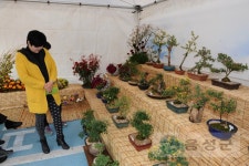 역사로 보는 사진 - 사진DB