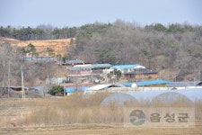 분류별사진 - 사진DB