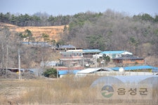 분류별사진 - 사진DB