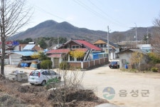 분류별사진 - 사진DB