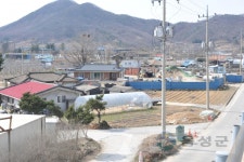 분류별사진 - 사진DB