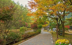 봉학골산림욕장 소개 - 음성군 자연휴양림 페이지 제목 표시