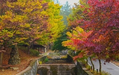 봉학골산림욕장 소개 - 음성군 자연휴양림 페이지 제목 표시