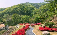 백야수목원 소개 - 음성군 자연휴양림 페이지 제목 표시