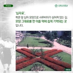 교정산책, 이화의 길 이야기