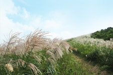 제주도가볼만한곳, 무료입장 관광지 BEST8 | 익스피디아 트래블 블로그