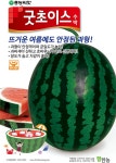 종자 | 한국농업 대표기업 | 팜한농 [굿초이스수박]