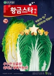 종자 | 한국농업 대표기업 | 팜한농 [황금스타배추]