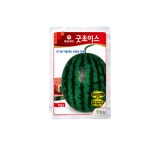 종자 | 한국농업 대표기업 | 팜한농 [굿초이스수박]