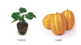 팜한농뉴스 | 한국농업 대표기업 | 팜한농 한국농업 대표기업 | 팜한농 | 팜한농뉴스