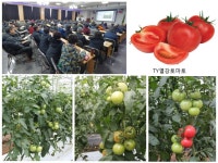 팜한농뉴스 | 한국농업 대표기업 | 팜한농 한국농업 대표기업 | 팜한농 | 팜한농뉴스