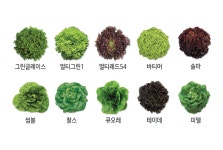 팜한농뉴스 | 한국농업 대표기업 | 팜한농 한국농업 대표기업 | 팜한농 | 팜한농뉴스