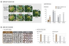 기타 | 한국농업 대표기업 | 팜한농 [가드그린]