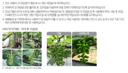 작물보호제 | 한국농업 대표기업 | 팜한농 [더크리]수화제