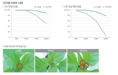 작물보호제 | 한국농업 대표기업 | 팜한농 [노블킬]입제