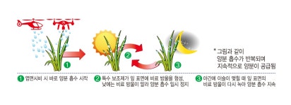비료 | 한국농업 대표기업 | 팜한농 [헬리앤드론하이엔]