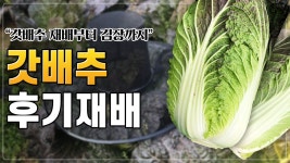 홍보영상 | 한국농업 대표기업 | 팜한농 한국농업 대표기업 | 팜한농 | 홍보영상