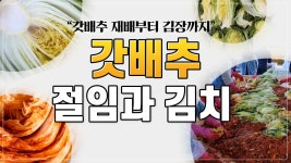 홍보영상 | 한국농업 대표기업 | 팜한농 한국농업 대표기업 | 팜한농 | 홍보영상