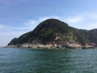 한국수산자원공단_알림마당 > FIRA뉴스 > FIRA소식(사진게시판)