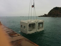 한국수산자원공단_알림마당 > FIRA뉴스 > FIRA소식(사진게시판)