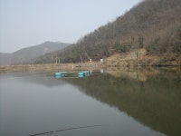 낚시사랑 > 오산에서 10여분 거리 성주리낚시터 개장 : 낚시사랑