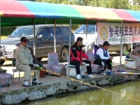 낚시사랑 > 제2차 능곡레포츠 클럽 정기전 : 낚시사랑