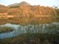 세칸찌 > 앵천보주변소류지 : 낚시사랑