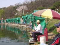 낚시사랑 > 최고 시설을 자랑하는 구래 낚시터가 산란중 : 낚시사랑