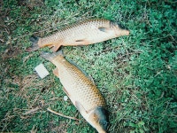 붕박 > 아~~ 산천초목!! : 낚시사랑