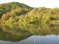 붕박 > 아~~ 산천초목!! : 낚시사랑