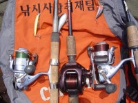 강화발이 > 꿩대신 장닭 : 낚시사랑