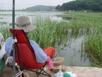 강화발이 > 교동섬붕어와 가물치 : 낚시사랑