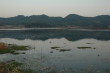 거봉 > 죽림지의 근황 : 낚시사랑