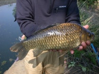 베레모 > 진도로 떠난 낚시여행.... : 낚시사랑