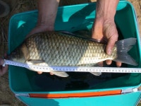 베레모 > 진도로 떠난 낚시여행.... : 낚시사랑