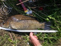 베레모 > 진도로 떠난 낚시여행.... : 낚시사랑