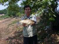 베레모 > 진도로 떠난 낚시여행.... : 낚시사랑