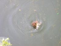 베레모 > 진도로 떠난 낚시여행.... : 낚시사랑