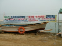 낚시사랑 > 영흥도 용담 바다 낚시터 제2회 낚시대회 : 낚시사랑